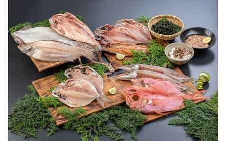 超ひものセット【惣菜 魚 干物 ひもの お取り寄せ 御中元 お中元 お歳暮 父の日 母の日 贈り物 家庭用 自宅用 贈答品 贈答用 ギフト 定番 朝食 朝ごはん あじ いぼ鯛 かます かれい ホッケ いか 金目鯛 さば 神奈川県 小田原市 干物 】