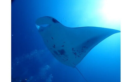 PADIアドバンスコース