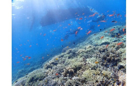 PADIアドバンスコース