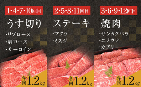 【牛肉 定期便 12回】 幻の相州黒毛和牛肩肉 1.2kg×12回 計14.4kg【相州黒毛和牛 相州牛 幻の牛肉 極上の旨味と風味 キメ細かな上質の脂 様々な料理に ブランド牛 ブランド牛肉 神奈川県 小田原市 】