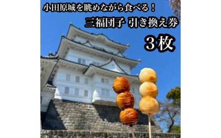 小田原城を眺めながら食べるお団子 三福団子引換券 3本分 くるみ味噌 みたらし団子【 引換券 神奈川県 小田原市 団子】