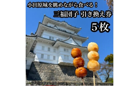 小田原城を眺めながら食べるお団子 三福団子引換券 5本分 くるみ味噌 みたらし団子【 引換券 神奈川県 小田原市 団子】