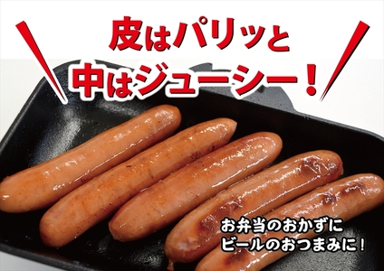 和豚もちぶた使用ウインナー【 惣菜 おかず 家庭用 自宅用 贈答品 贈答用 ギフト お取り寄せ お中元 お歳暮 贈り物 神奈川県 小田原市 】