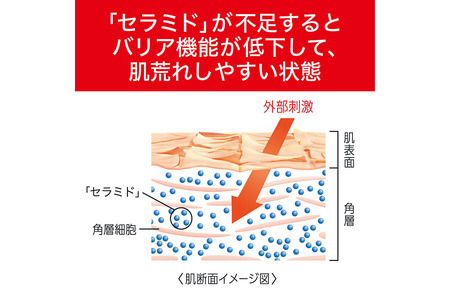 花王　キュレル　潤浸保湿　泡洗顔料　１３０ml　詰替【 化粧品 コスメ 神奈川県 小田原市 】