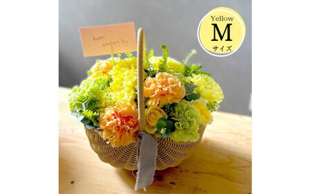 《母の日限定》カーネーションのバスケットアレンジメント(Mサイズ)イエロー系<出荷時期:2026年5月6日~5月9日>