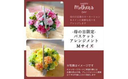 《母の日限定》カーネーションのバスケットアレンジメント(Mサイズ)イエロー系<出荷時期:2026年5月6日~5月9日>