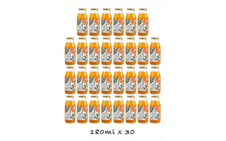 【定期便 （2カ月ごと全6回）】小田原産江之浦みかん１００％ストレートジュース１８０ml３０本【みかんジュース みかんジュース 神奈川県 小田原市 】