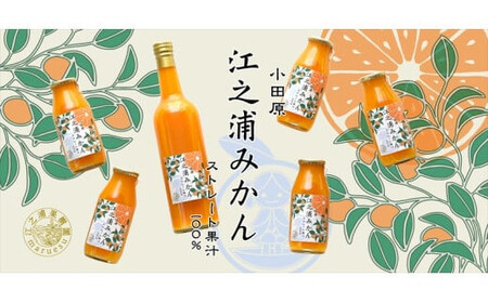 【定期便 9回】小田原産江之浦みかん１００％ストレートジュース５００ml６本【みかんジュース みかんジュース 神奈川県 小田原市 】