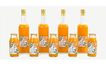 【定期便 12回】小田原産江之浦みかん１００％ストレートジュース５００ml６本【みかんジュース みかんジュース 神奈川県 小田原市 】