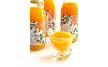 【定期便 9回】小田原産江之浦みかん１００％ストレートジュース５００ml１２本【みかんジュース みかんジュース 神奈川県 小田原市 】