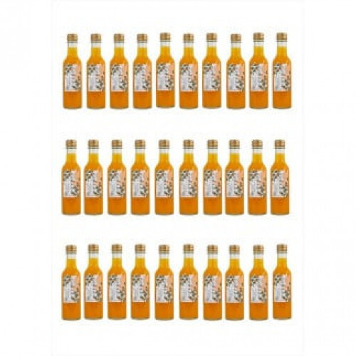 【定期便 12回】 小田原産江之浦みかんスパークリング果汁入り飲料果汁５０％２００ml３０本