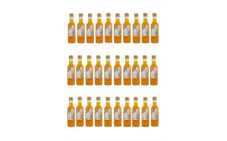 【定期便（2カ月ごと全3回）】小田原産江之浦みかんスパークリング果汁入り飲料果汁５０％２００ml３０本