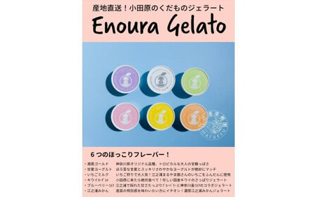 小田原産江之浦ジェラート６種（みかん、湘南ゴールド、ブルーベリーミルク、いちごミルク、キウイヨーグルト、甘夏ヨーグルト）120mlカップ各１個合計６個【ジェラート ジェラート 神奈川県 小田原市 】 4,200円