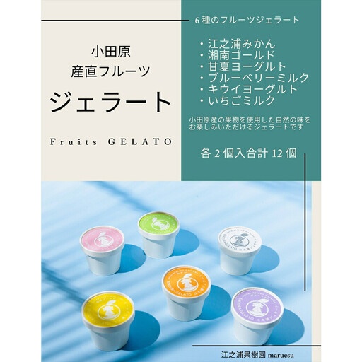 【定期便 9回】 小田原産江之浦ジェラート６種（みかん、湘南ゴールド、ブルーベリーミルク、いちごミルク、キウイヨーグルト、甘夏ヨーグルト）120mlカップ各２個合計１２個【ジェラート ジェラート 神奈川県 小田原市 】