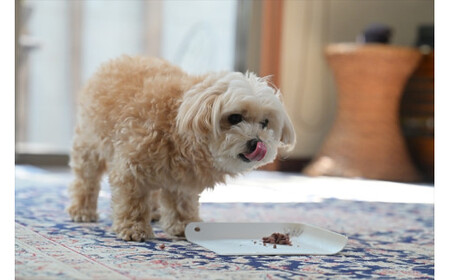 【定期便 6ヵ月】鹿肉ペットフード シカリッチ 　25グラム×6個入り（150g）×5セット　を6ヵ月連続でお届け【 ペットフード 神奈川県 小田原市 ペットフード】