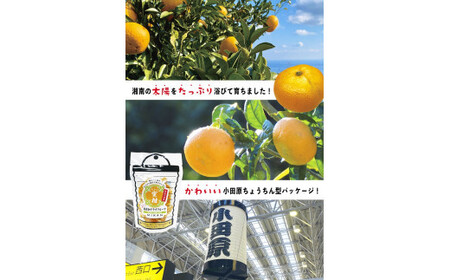 無添加ドライフルーツ(みかん)20g×2袋入【 神奈川県小田原市 ドライフルーツ ドライフルーツ】
