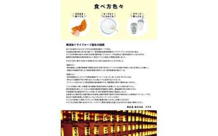 無添加ドライフルーツ(みかん)20g×2袋入【 神奈川県小田原市 ドライフルーツ ドライフルーツ】