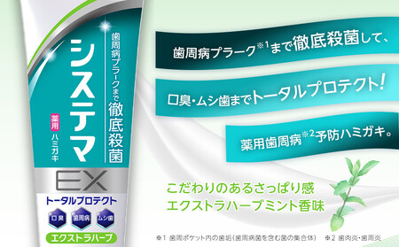 ＬＩＯＮ システマＥＸ（エクストラハーブ）１２本セット ｜ 日用品 ふるさと納税 歯磨き粉 歯磨き粉