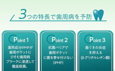 ＬＩＯＮ システマＥＸ（エクストラハーブ）１２本セット ｜ 日用品 ふるさと納税 歯磨き粉 歯磨き粉