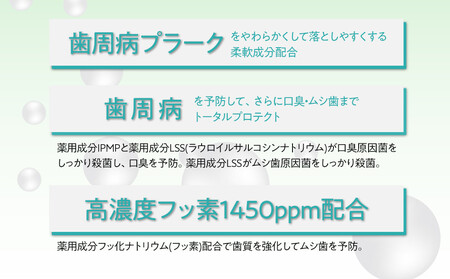 ＬＩＯＮ システマＥＸ（エクストラハーブ）１２本セット ｜ 日用品 ふるさと納税 歯磨き粉 歯磨き粉