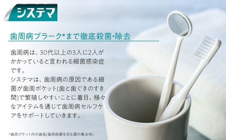 ＬＩＯＮ システマＥＸ（エクストラハーブ）１２本セット ｜ 日用品 ふるさと納税 歯磨き粉 歯磨き粉