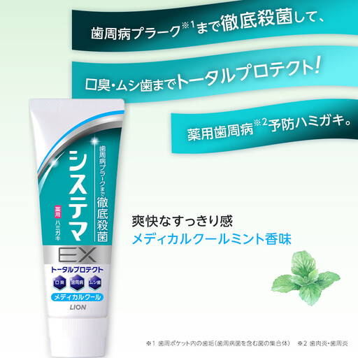 ＬＩＯＮ システマＥＸ（メディカルクール）１２本セット ｜ 日用品 ふるさと納税 歯磨き粉 歯磨き粉