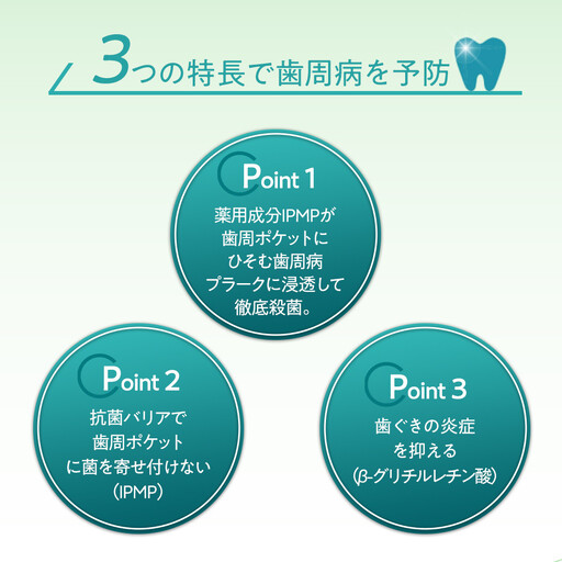 ＬＩＯＮ システマＥＸ（メディカルクール）１２本セット ｜ 日用品 ふるさと納税 歯磨き粉 歯磨き粉