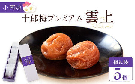 【小田原のブランド梅の大粒梅干し】雲上５個入り【 梅干し 神奈川県 小田原市 梅干し】