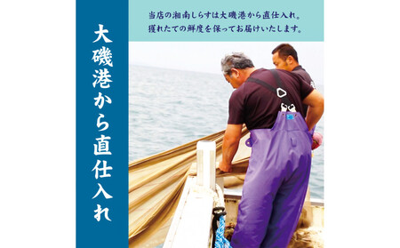 湘南しらす　3色セット