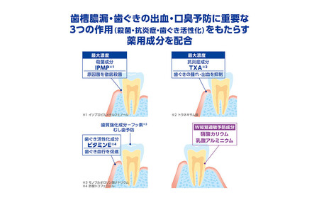 ライオン デントヘルス薬用ハミガキしみるブロック85g(医薬部外品)×10個