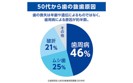 ライオン デントヘルス薬用ハミガキしみるブロック85g(医薬部外品)×10個