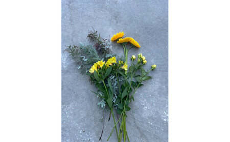 素材を楽しむ季節のお花*ハーフ*(全3回)