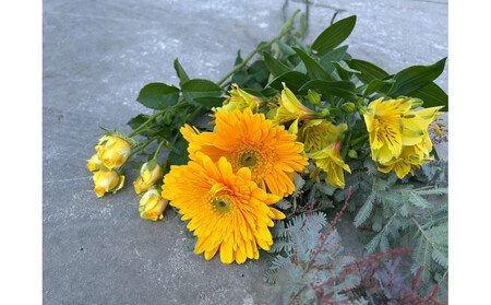 素材を楽しむ季節のお花*ハーフ*(全3回)