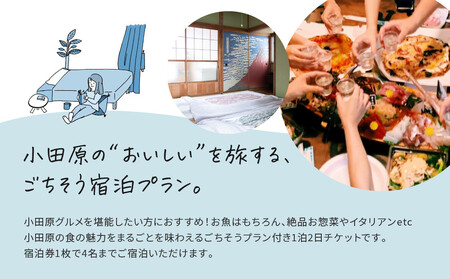 小田原の幸を食べ尽くす1泊2日　 4名 古民家ゲストハウス  Tipy records inn house