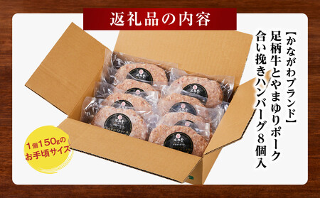 【かながわブランド】足柄牛とやまゆりポーク合い挽きハンバーグ8個入【 肉 国産  神奈川県 小田原市 】