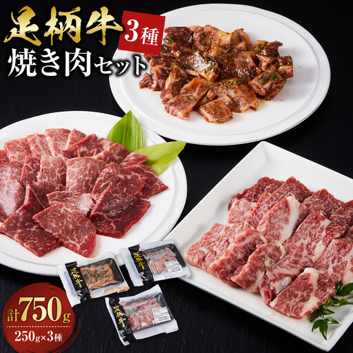 足柄牛3種焼肉セット(カルビ 上モモ 中落カルビ各250g)【 肉 国産 神奈川県 小田原市 】