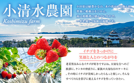 大粒厳選さちのか　希少いちご　神奈川県産　苺　２パック入り