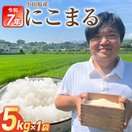 令和7年産　富水米　精米　5kg　にこまる