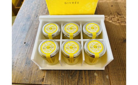 湘南ゴールドゼリー6個セット