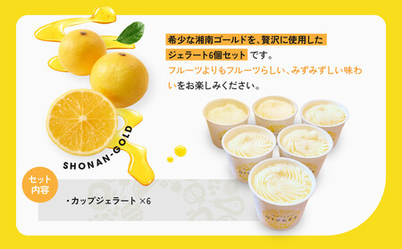 湘南ゴールドジェラート6個セット