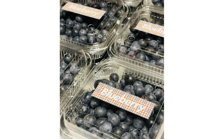 【農薬不使用】 手摘み生ブルーベリー 400g