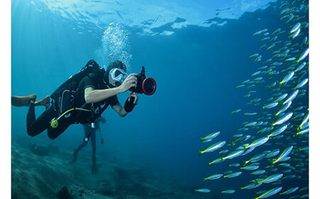 小田原ダイビングスクール 共通クーポン券 30,000円分