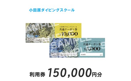小田原ダイビングスクール共通クーポン券 150,000円分