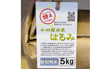 志村屋米穀店 令和7年産小田原市産　はるみ  5kg