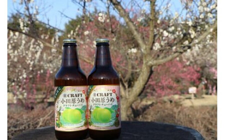 小田原うめクラフトチューハイ　24本セット【チューハイ】