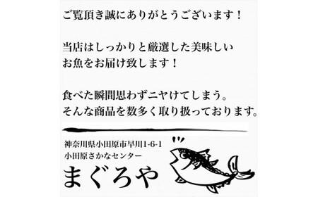 王様の塩辛 明太子 小パック 3枚【 惣菜 いかの塩辛 あおりいか 珍味 海鮮 お取り寄せ 御中元 お中元 お歳暮 父の日 母の日 贈り物 日本酒 焼酎 塩辛 塩辛】【家庭用 自宅用 贈答品 贈答用 ギフト 神奈川県 小田原市 】