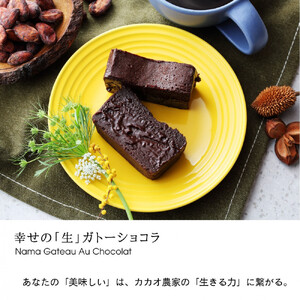  極上の口溶け。幸せの生ガトーショコラ 300g 2本セット【 高級 濃厚  極上スイーツ グルテンフリー チョコ ショコラテリーヌ 高品質クーベルチュールチョコレート使用 一流シェフ 神奈川県 小田原市 ガトーショコラ ガトーショコラ】