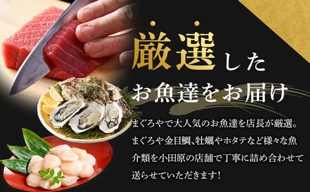 【定期便2ヶ月】まぐろや　特別セット【 惣菜 まぐろ 鮪 本鮪 サーモン 海老 お刺身 海鮮 セット 福袋 キンメ きんめ お取り寄せ 御中元 お中元 お歳暮 父の日 母の日 贈り物 日本酒 焼酎】【 神奈川県 小田原市  海鮮 海鮮 】