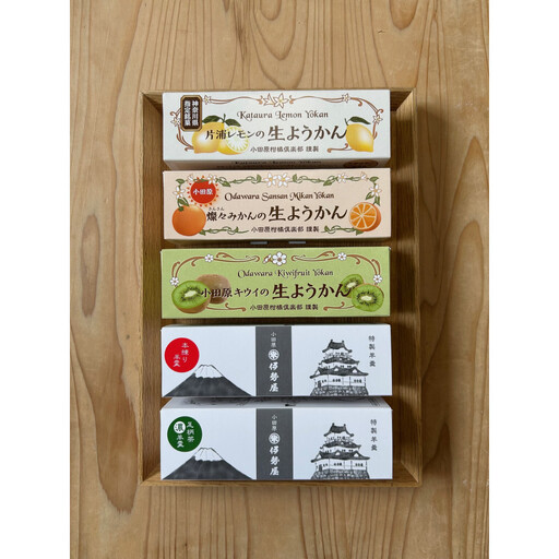 小田原老舗和菓子店の手づくりようかん5本セット【和菓子店　手づくりようかん5本セット レモンようかん　フルーツようかん 足柄茶ようかん 本練ようかん キウイようかん 梅ようかん 神奈川県指定銘菓 神奈川県 小田原市 ようかん ようかん】 4,000円