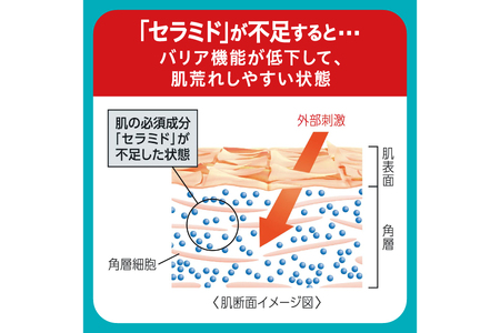 花王 キュレル 潤浸保湿乳液　つめかえ用【 化粧品 コスメ 神奈川県 小田原市 】